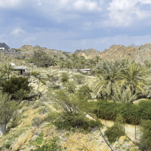 Heritage Trip to Taybah | الرحلة التراثية إلى طيبة