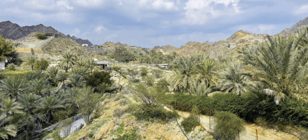 Heritage Trip to Taybah | الرحلة التراثية إلى طيبة