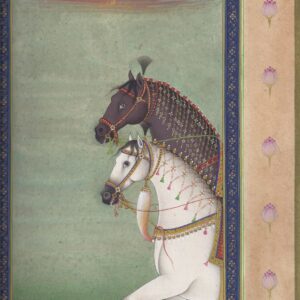 ورشة: الحيوانات والطيور